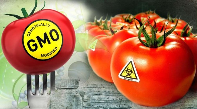 Създадена е Световна Коалиция за свят без ГМО